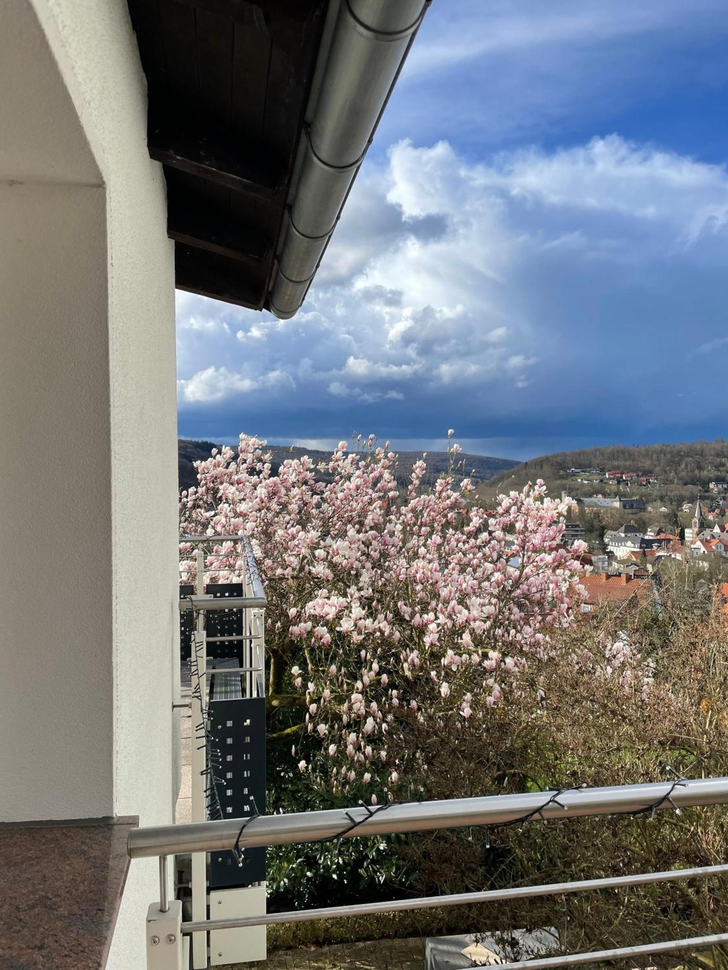 Ferienhaus Chalet Andante Hannoversch Münden Eksteriør billede
